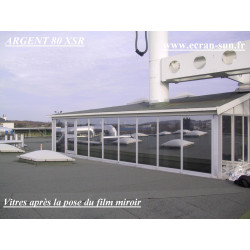 film argent électrostatique