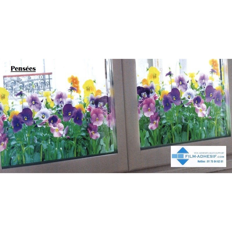 film décoratif fleurs (Pensées) film décoratif fleurs (Pensées)